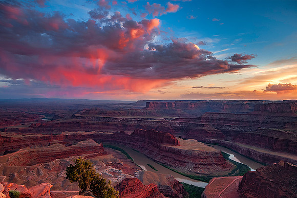 DeadhorsepointBest